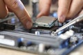 Man installing computer chip onto motherboard at table, closeup Royalty Free Stock Photo