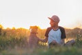Man interacts with his dog in sunset, summer season.