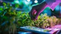 Man interacts with holographic display for greenhouse plant management