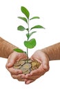 Investing money in environment Royalty Free Stock Photo