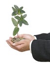 Investing money in environment