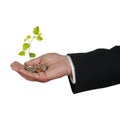 investing money in environment Royalty Free Stock Photo