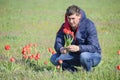 A man in a jacket on a field of tulips. Glade with tulips