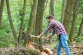 Man in jeans and checkered shirt chopping wood with axe, power Royalty Free Stock Photo