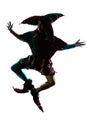 Man in jester costume silhouette jumping Royalty Free Stock Photo