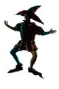 Man in jester costume silhouette jumping Royalty Free Stock Photo