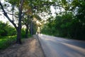 Man jogging in Tree Tunnel Natural Road at Sunset time Royalty Free Stock Photo