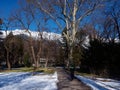 Man jogging in winter park