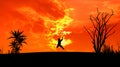 Man jump silhouette at sunset