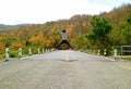 Man jumping on the middle of mountain road among color changing forest Royalty Free Stock Photo