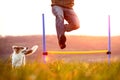 Man jumping over hurdles, young dog running besides, agility and Royalty Free Stock Photo