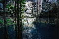 Man jumping into Oxman cenote from swing with blue water and tropical plants in the cave, Yucatan, Mexico