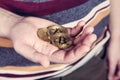 Man is keeping bitcoin cryptocurency gold coin in his hand Royalty Free Stock Photo