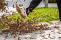 A man is kicking a pile of fallen leaves beside the flyway