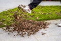 A man is kicking a pile of fallen leaves beside the flyway