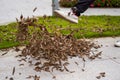 A man is kicking a pile of fallen leaves beside the flyway