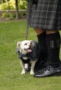 Man in kilt walking in nature with a happy dog Royalty Free Stock Photo