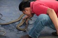 A Man Kissing a Cobra
