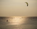 Man with kite surving standing in sea water against evening sun