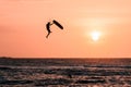 Man kitesurfer athlete jumping at sunset, silhouette at dusk. Kite surfer man doing board off kiteboarditrick on orange packgroung