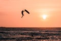 Man jumping kitesurfing,  kitesurfer athlete jumping at sunset, silhouette at dusk man doing board off trick Royalty Free Stock Photo