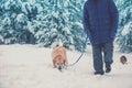 A man with a Labrador retriever dog walks in deep snow