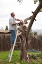 Man on ladder sawing tree branches