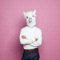 Man with lama head standing with crossed arms on bright pink studio wall background