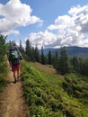 A man with a hiking backpack walks along a hiking trail along the forest and mountains. Summer in the mountain forest. The concept