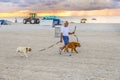 Man in late afternoon walks along south beach with his dogs Royalty Free Stock Photo