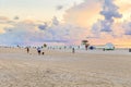 Man in late afternoon walks along south beach with his dogs Royalty Free Stock Photo