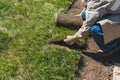 Close-up man laying grass turf rolls for new garden lawn Royalty Free Stock Photo