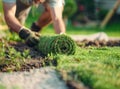 Man laying sod for new garden lawn