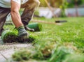 Man laying sod for new garden lawn