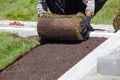 Man laying sod for new garden lawn, gardening Royalty Free Stock Photo