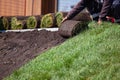 Man laying sod for new garden lawn, gardening Royalty Free Stock Photo
