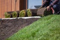 Man laying sod for new garden lawn, gardening Royalty Free Stock Photo