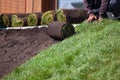 Man laying sod for new garden lawn, gardening Royalty Free Stock Photo