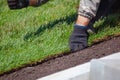 Man laying sod for new garden lawn, gardening Royalty Free Stock Photo