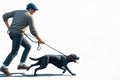 A man leads an active dog on a leash during a walk. Space for text. Royalty Free Stock Photo