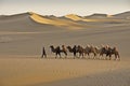 Man leading Bactrian camels in sand dunes of China`s Gobi Desert