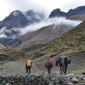 A man leads his mule along a remote Andes mountain trail. Cusco, Peru