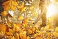 Man with a leaf blower is removing fallen leaves from the sidewalk Royalty Free Stock Photo