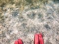 man legs in flippers underwater Royalty Free Stock Photo