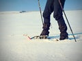 Man legs with snowshoes walk in snow. Detail of winter hike in snowdrift Royalty Free Stock Photo