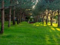 A man lies in the background in a hammock. Hammock in the park. Park area. Rest. Man with laptop Royalty Free Stock Photo