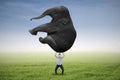 Man lifting heavy elephant Royalty Free Stock Photo