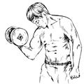 The man lifts the dumbbell, shakes arm muscles, biceps, triceps, fitness in the gym