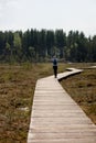 man in a light shirt walking on a wooden path in nature, national park or forest Royalty Free Stock Photo