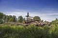 Loading A Truck Full Of Tree Logs - Lumber Industry